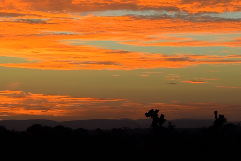 Kenya banner | Travel Africa & More