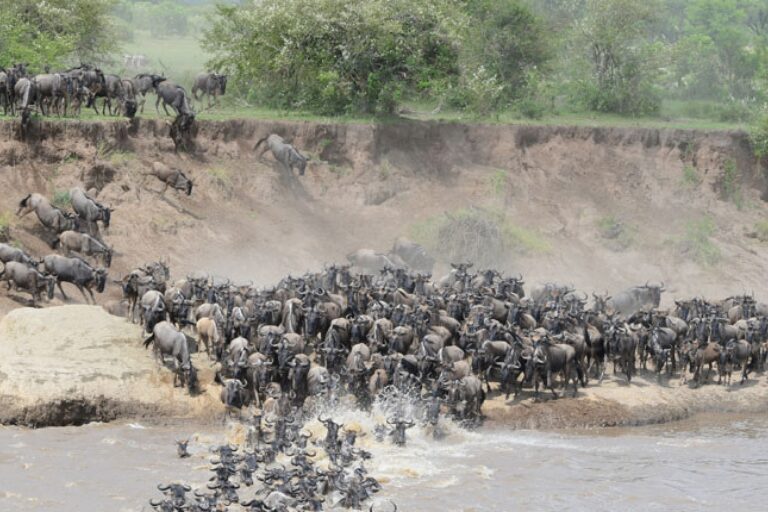 Tanzania banner | Travel Africa & More