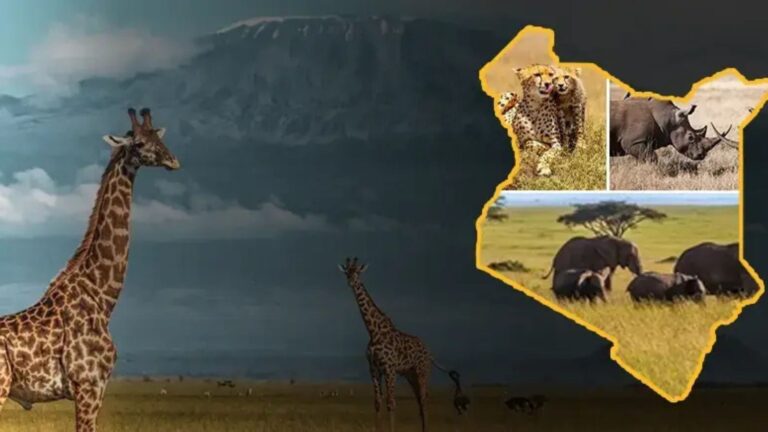 kenya listing | Travel Africa & More