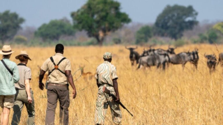 mobile safari 1 | Travel Africa & More