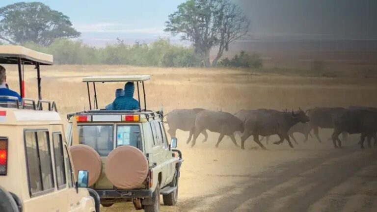 south africa 1 | Travel Africa & More