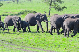 Northern Tanzania Safari archieve | Travel Africa & More