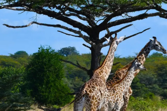 Southern Tanzania | Travel Africa & More