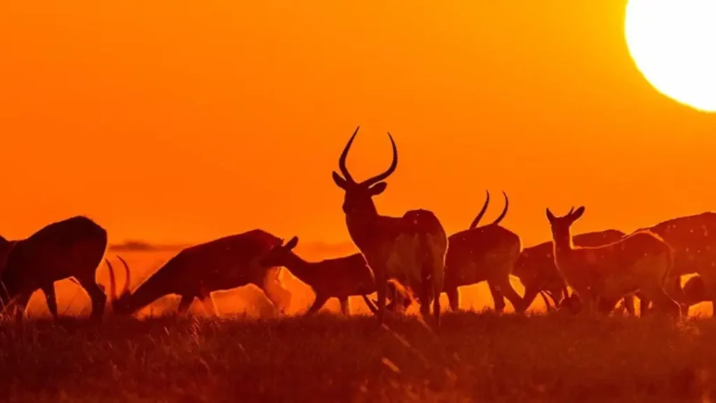 spotline home list | Travel Africa & More