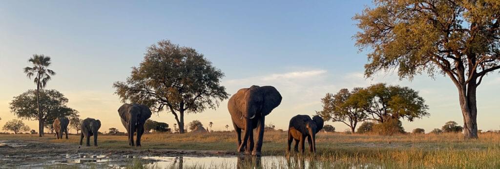 Botswana