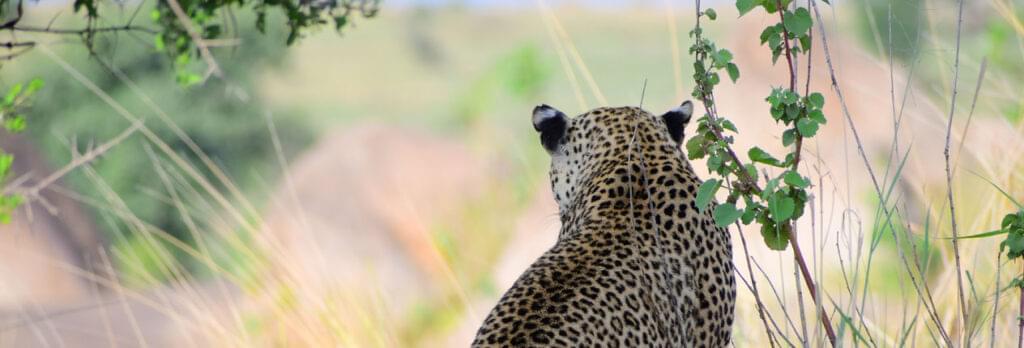 South Africa