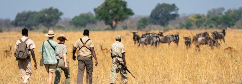 8 Days / 7 Nights
Mobile Walking Safari