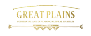 logo-1