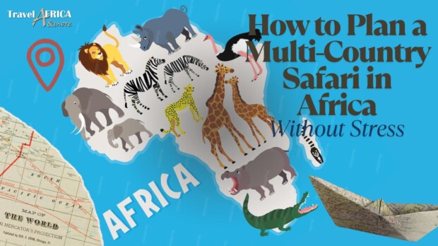 Multi-country safari in Africa with routes planned by an African safari itinerary planner