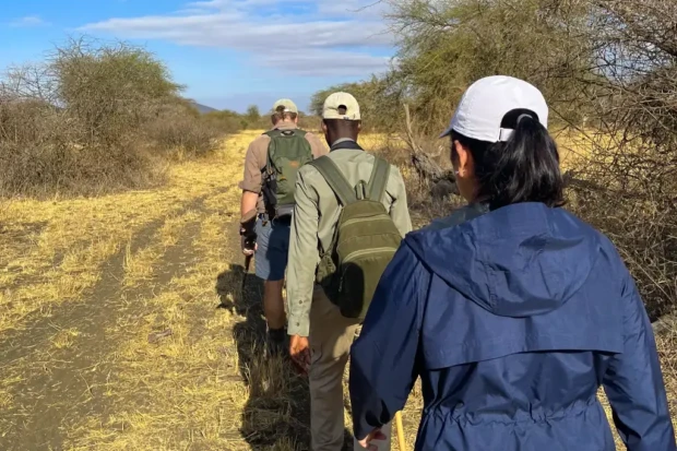 The Role of Travel Agents in Planning African Safaris: Necessity or Preference?