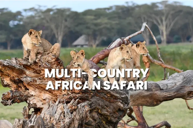 Tips for Planning a Multi-Country African Safari