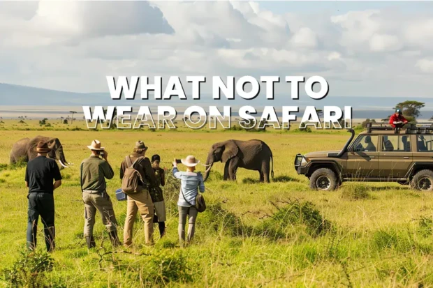 What Not to Wear on Safari: Common Clothing Mistakes